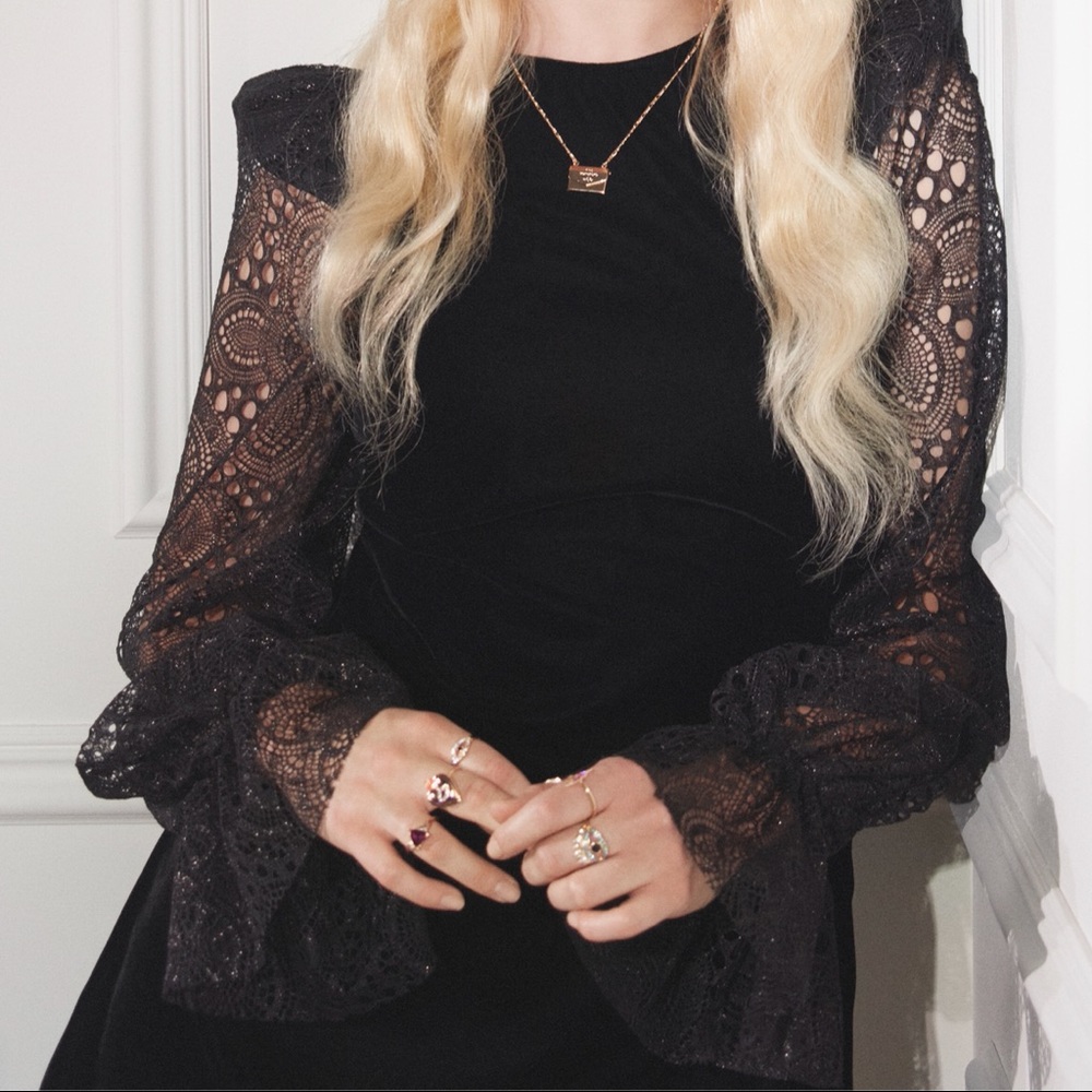 H&M x The Vampires Wife Velvet Dress